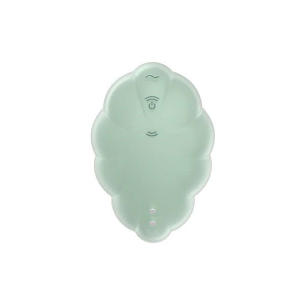 Stimulateur clitoridien par onde de pression sans contact et par vibration USB vert menthe, Cloud Dancer Satisfyer - CC597838