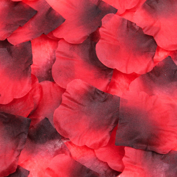 "Sachet de 100 Pétales de Rose Rouge en Soie pour une Décoration Sensuelle - 100610RED