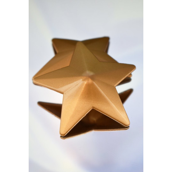 Cache-Tétons Étoile Dorée – Glamour et Brillance