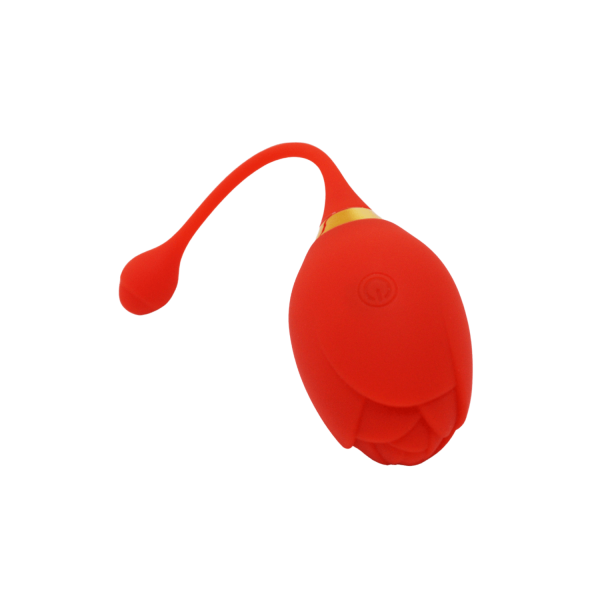 BLOOM — Oeuf Vibrant Télécommandé 10 Modes |Coeur Ardent