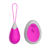 Œuf Vibrant Télécommandé 10 Modes Fuchsia  1 dosette de lubrifiant — Pocket Pleasure