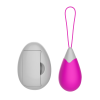 Œuf Vibrant Télécommandé 10 Modes Fuchsia  1 dosette de lubrifiant — Pocket Pleasure
