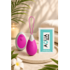 Œuf Vibrant Télécommandé 10 Modes Fuchsia  1 dosette de lubrifiant — Pocket Pleasure
