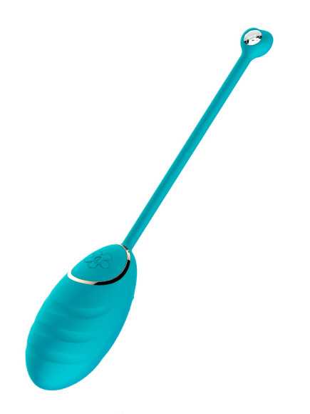 Œuf vibrant bleu avec télécommande USB - DAISYBLUE
